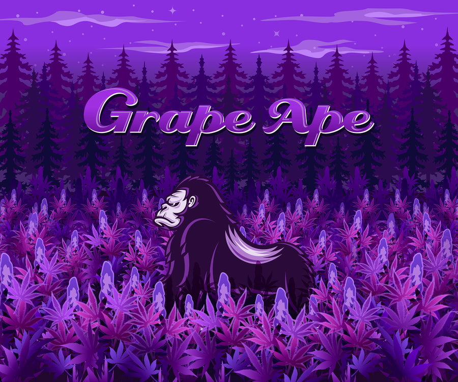 Grape Ape Poster - SK8420