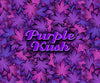 Purple Kush - SK8420