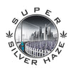 Super Silver Haze - SK8420