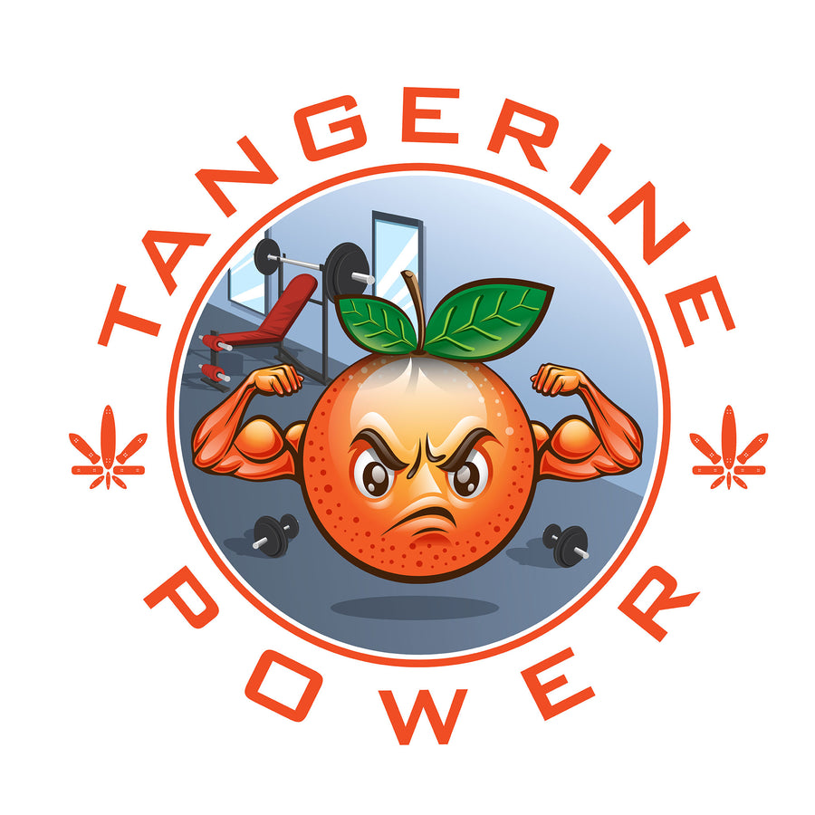 Tangerine Power - SK8420